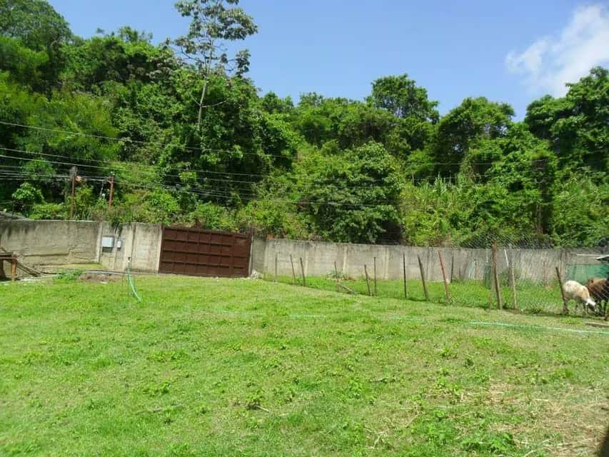 View 9