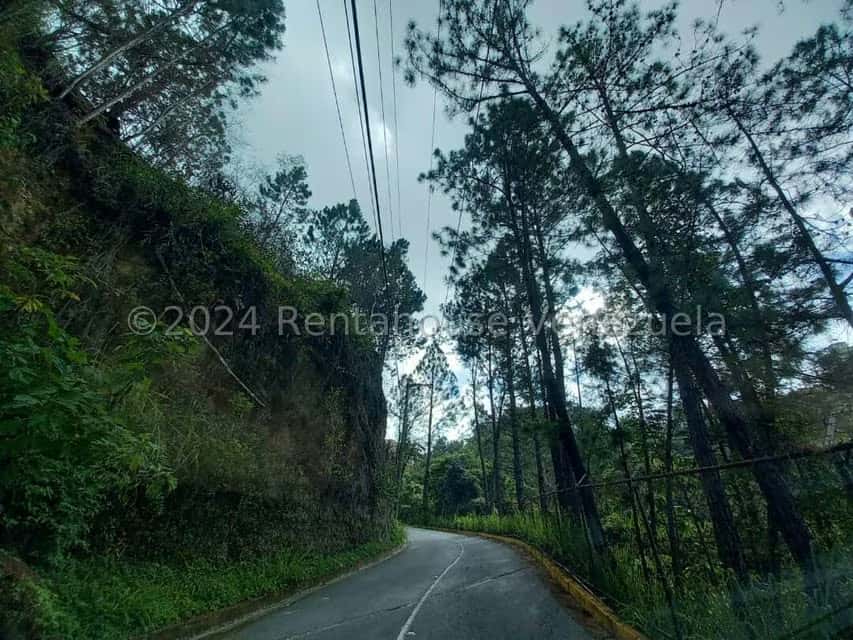 View 31