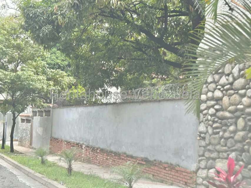Vista 41