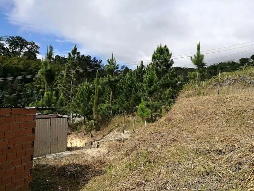 View 14