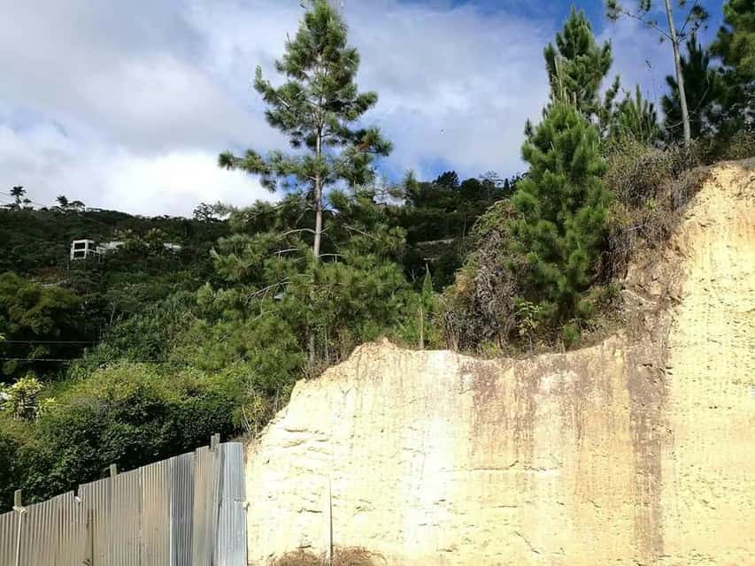 View 5