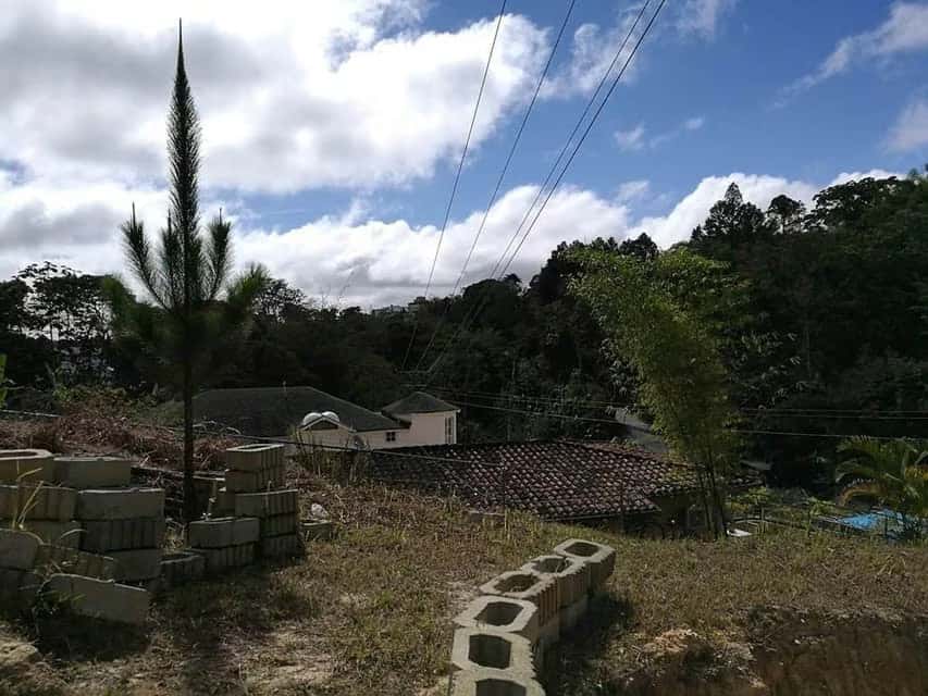 View 8