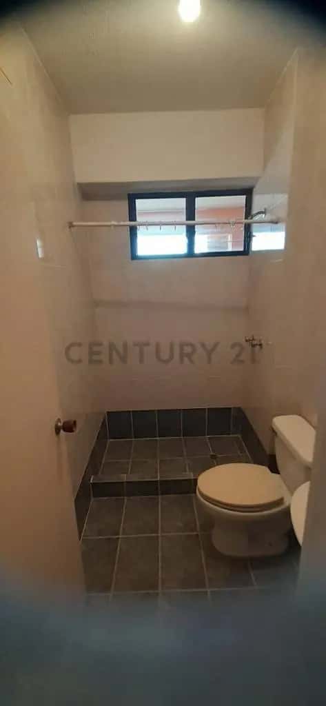 View 21