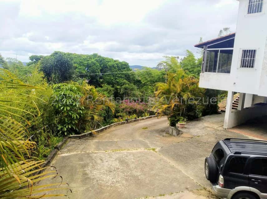 Vista 33