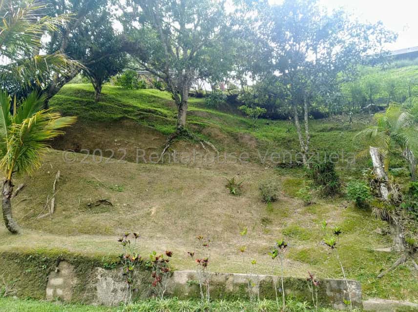 Vista 34