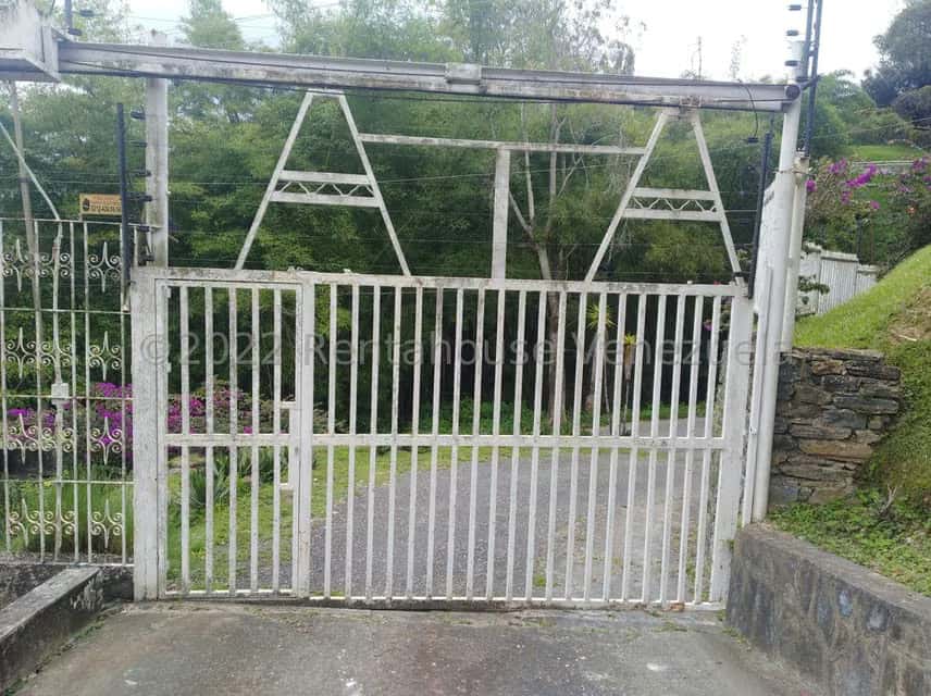 Vista 39