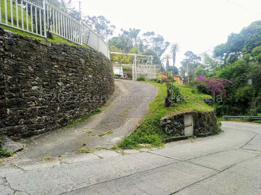 Vista 44