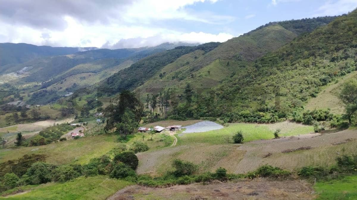 Venta finca Bramon