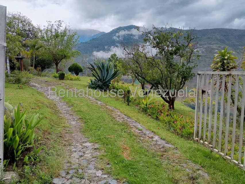 Terreno (Finca) en Venta en Loma Santuario de Duri, Trujillo