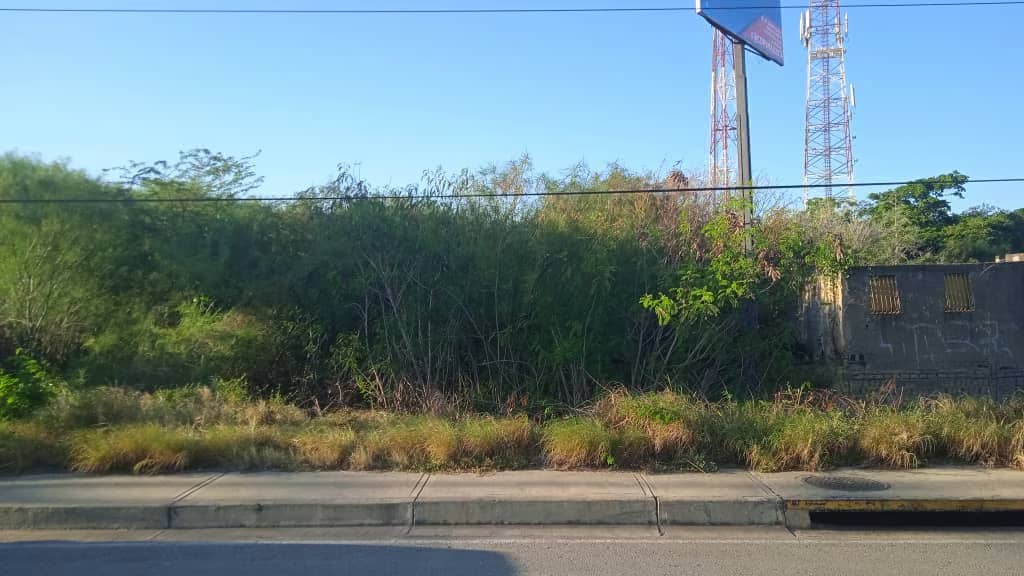 PARCELAS DE TERRENO, MANEIRO, ISLA DE MARGARITA