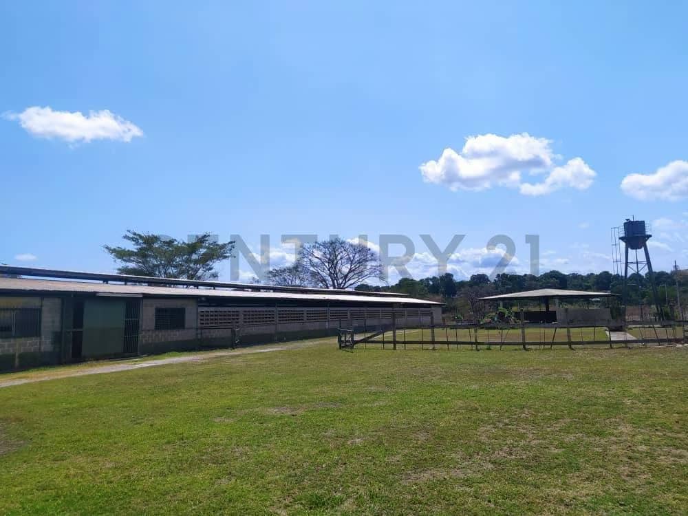 Finca en Valles del Tuy de 6,45 hectáreas, ideal para la cría de caballos TC