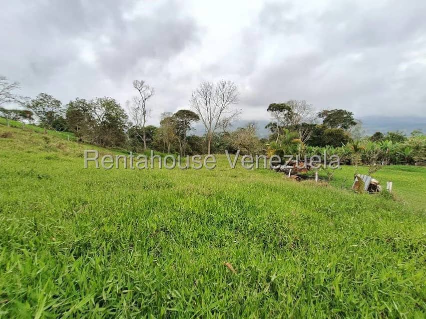 Terreno (Finca) en Venta en Buena Aventura, Merida