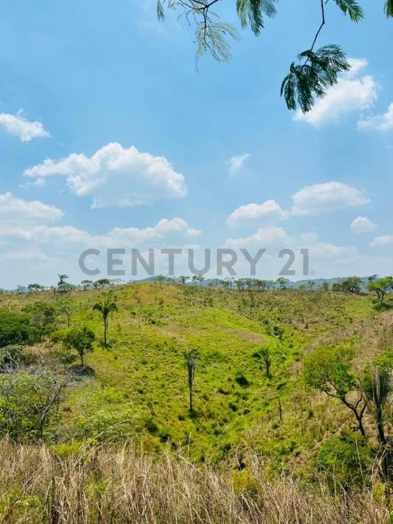 Finca los tucucitos, Edo Cojedes