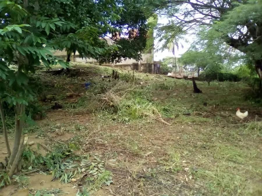 Terreno en Venta en MUNICIPIO ZAMORA Puerto Cumarebo