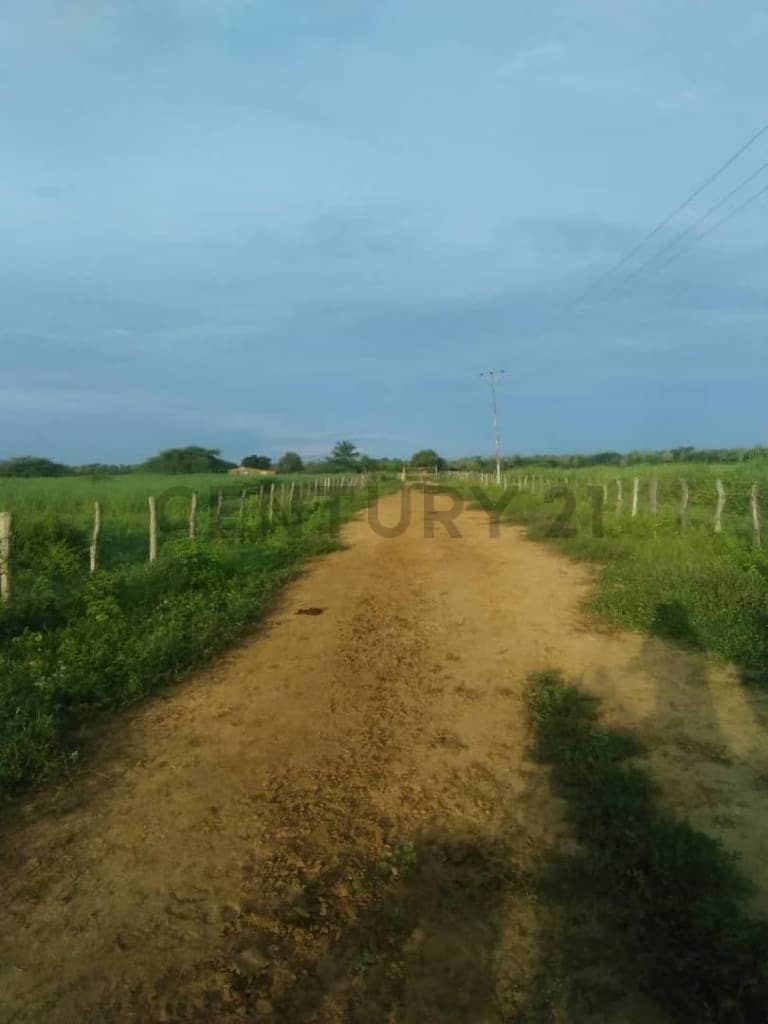 Se vende finca productiva con 188 hectareas con agua abundante,maquinarias