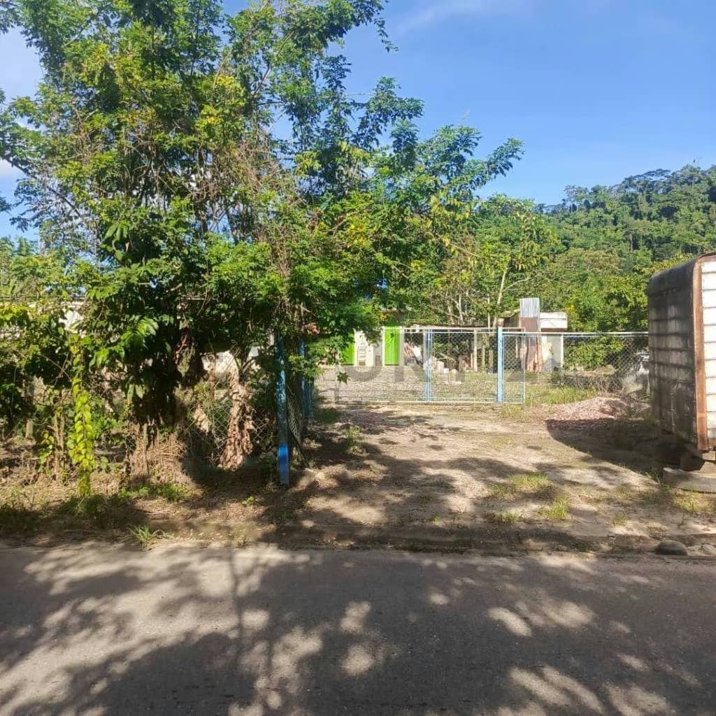 Venta Finca La Petrolea Rubio