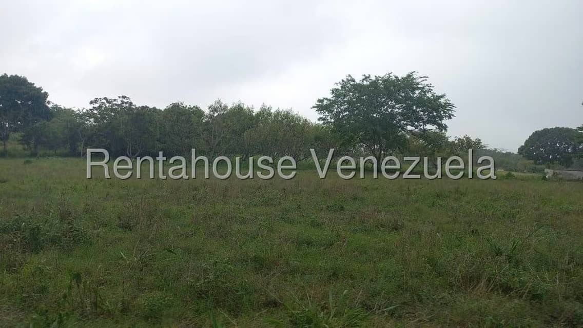 Terreno (Industrial) en Venta en Jose A Paez, Yaracuy