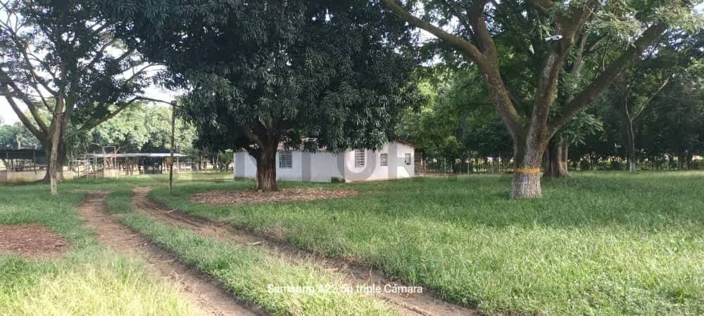 Venta de Finca Porcina