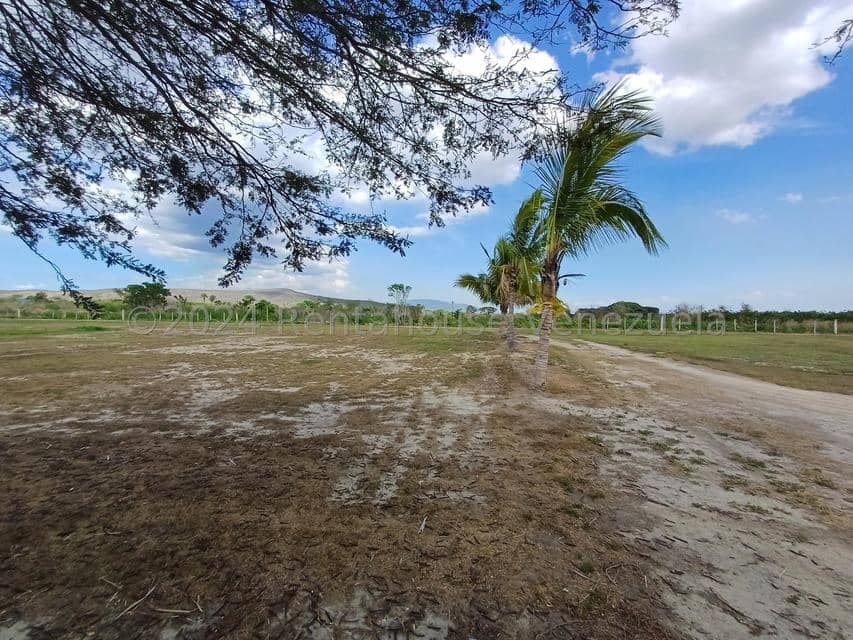 Terreno (Finca) en Venta en Municipio Peña, Yaracuy