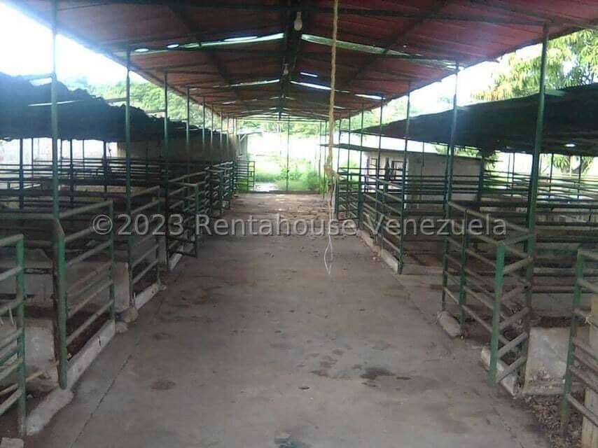 Terreno (Comercial) en Venta en Santa Lucia, Miranda