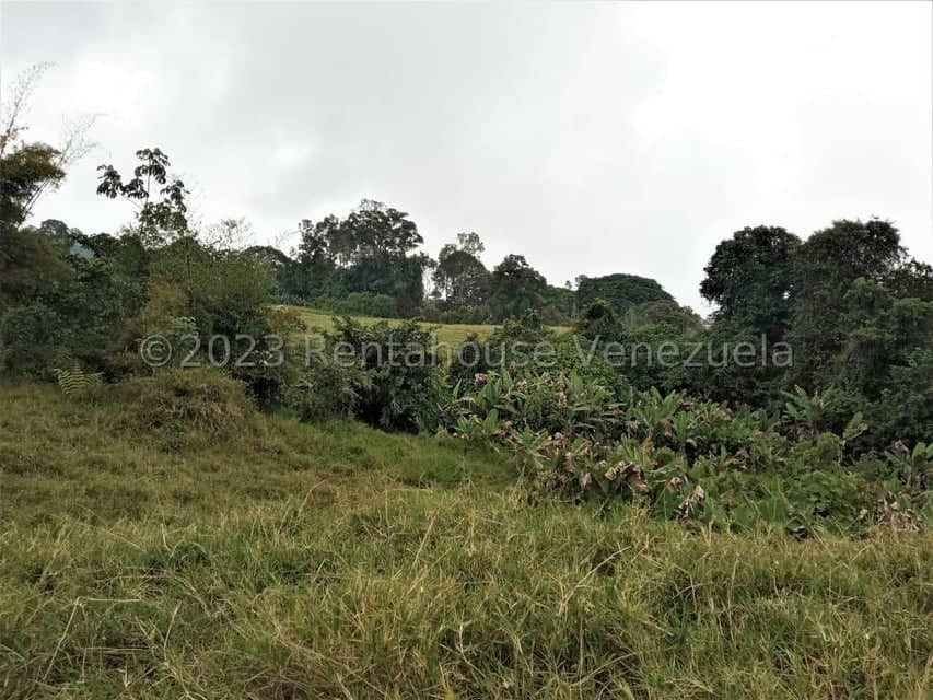 Terreno (Finca) en Venta en Centro, Merida