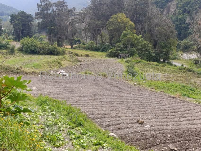Terreno (Comercial) en Venta en Cacute, Merida