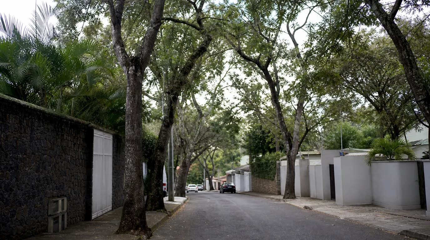 Tree-lined street of houses in southeastern Caracas, the El Hatillo and El Cafetal area