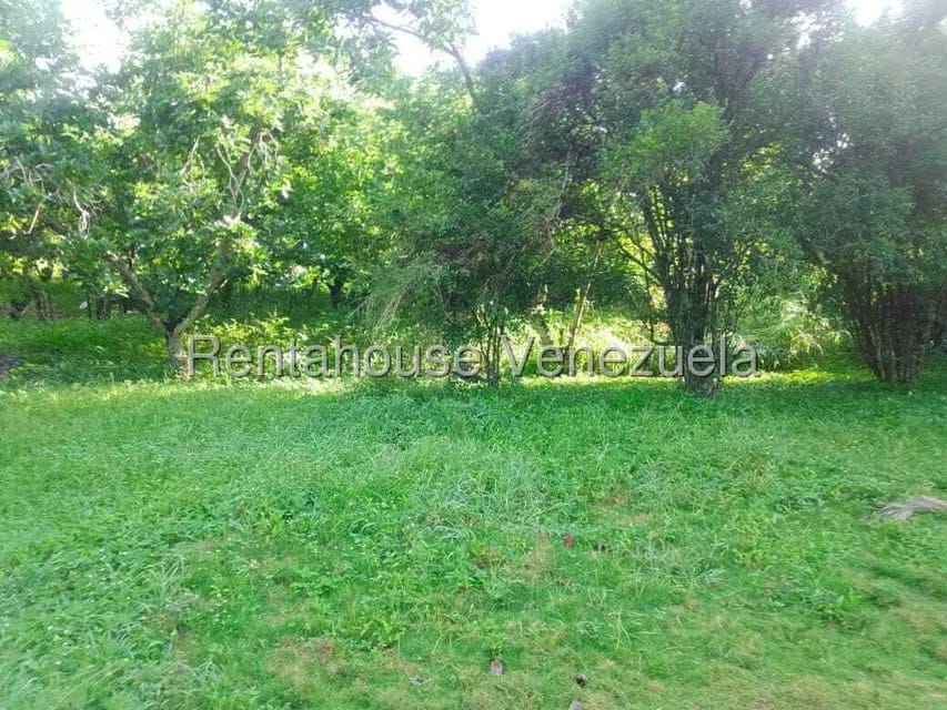 Casa (Casas de Campo) en Venta en Centro - Guama, Yaracuy - 11