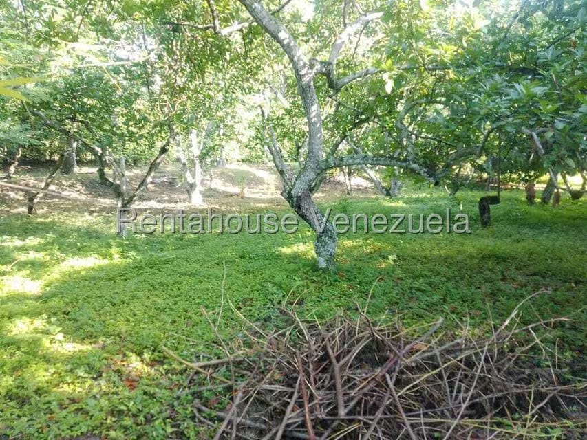 Casa (Casas de Campo) en Venta en Centro - Guama, Yaracuy - 14