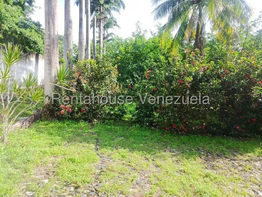 Casa (Casas de Campo) en Venta en Centro - Guama, Yaracuy - 18