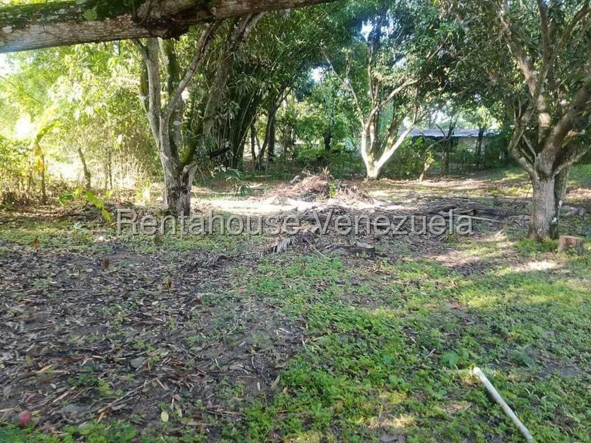 Casa (Casas de Campo) en Venta en Centro - Guama, Yaracuy - 21