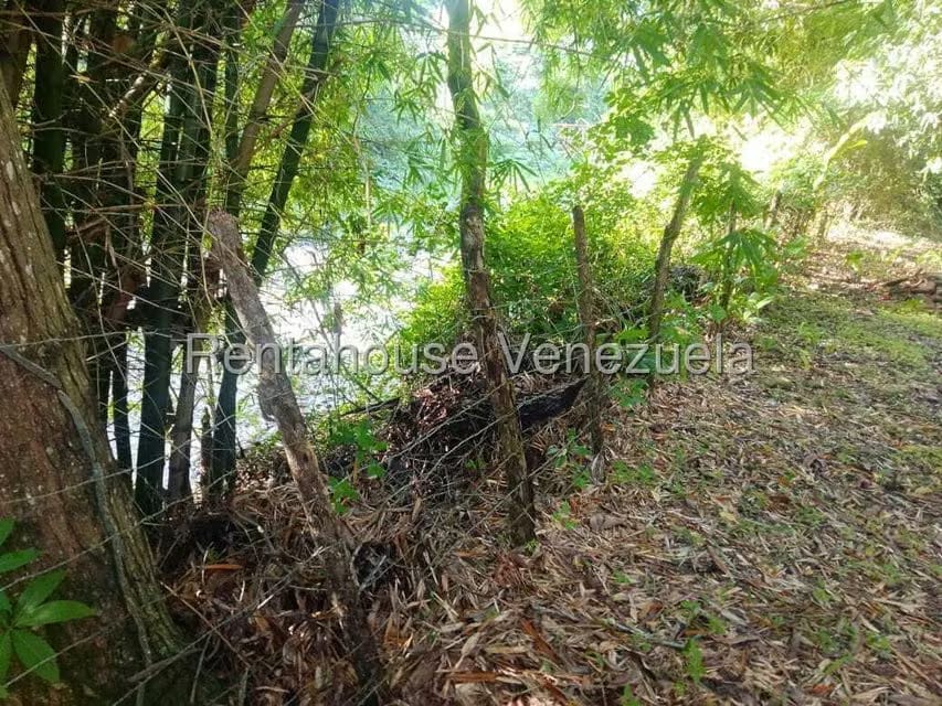 Casa (Casas de Campo) en Venta en Centro - Guama, Yaracuy - 24