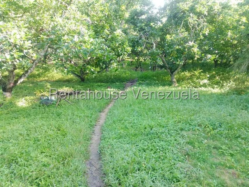 Casa (Casas de Campo) en Venta en Centro - Guama, Yaracuy - 4