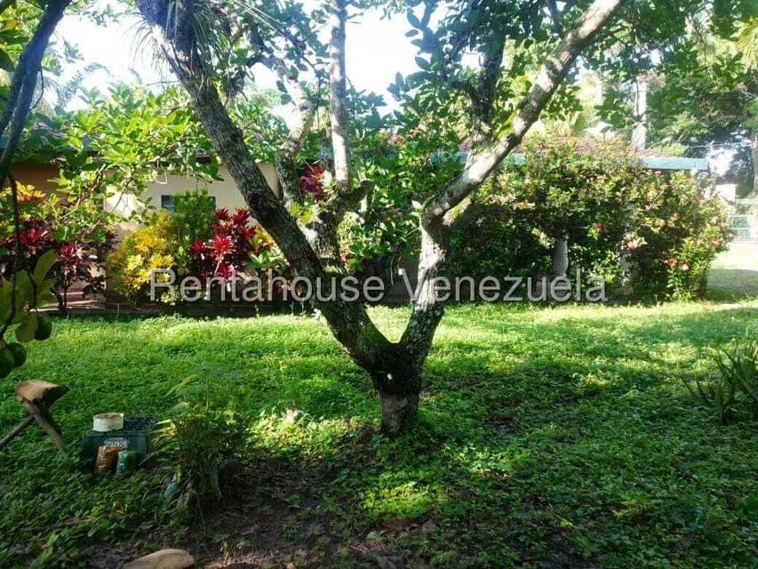 Casa (Casas de Campo) en Venta en Centro - Guama, Yaracuy - 32
