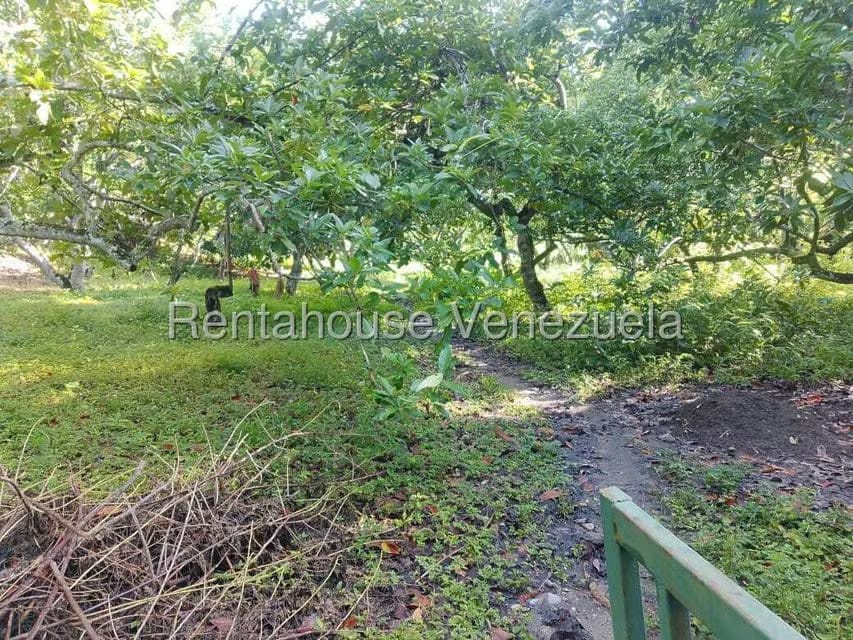 Casa (Casas de Campo) en Venta en Centro - Guama, Yaracuy - 8