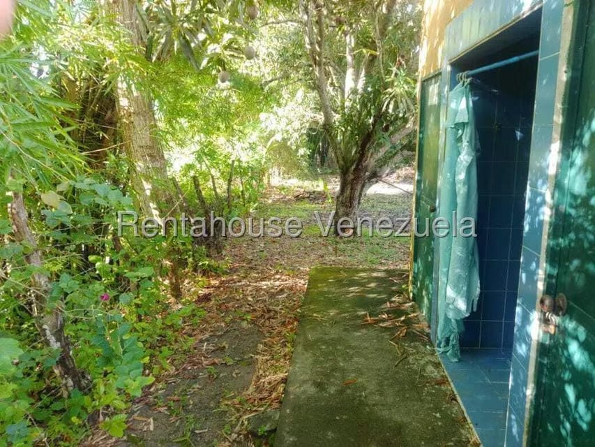 Casa (Casas de Campo) en Venta en Centro - Guama, Yaracuy - 10