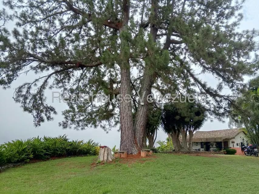 Casa (1 Nivel) en Venta en Loma del Medio, Trujillo - 28