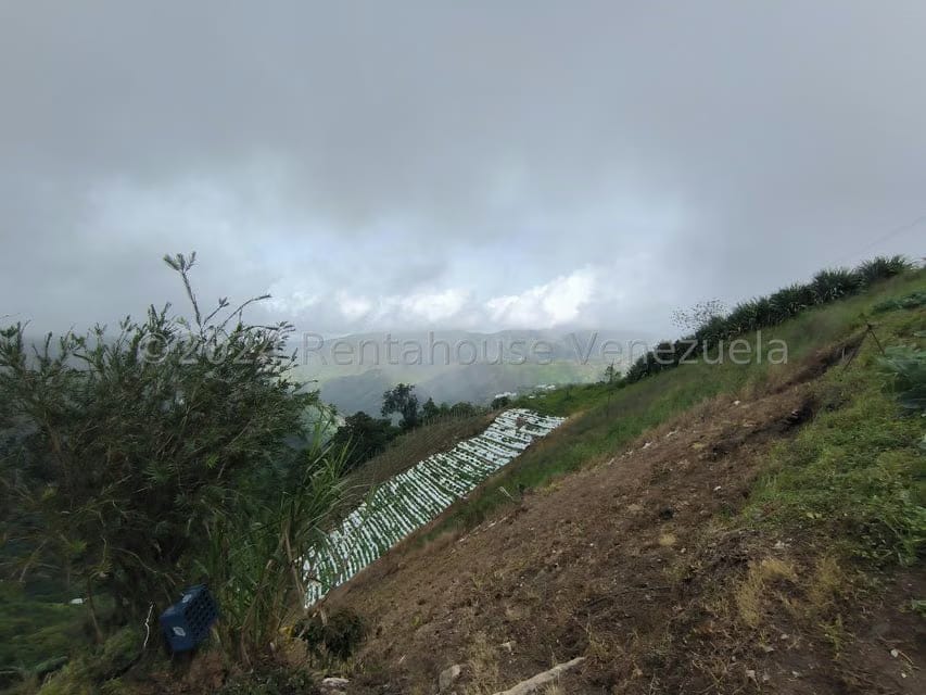 Terreno (Finca) en Venta en La Colonia Tovar, Aragua - 2