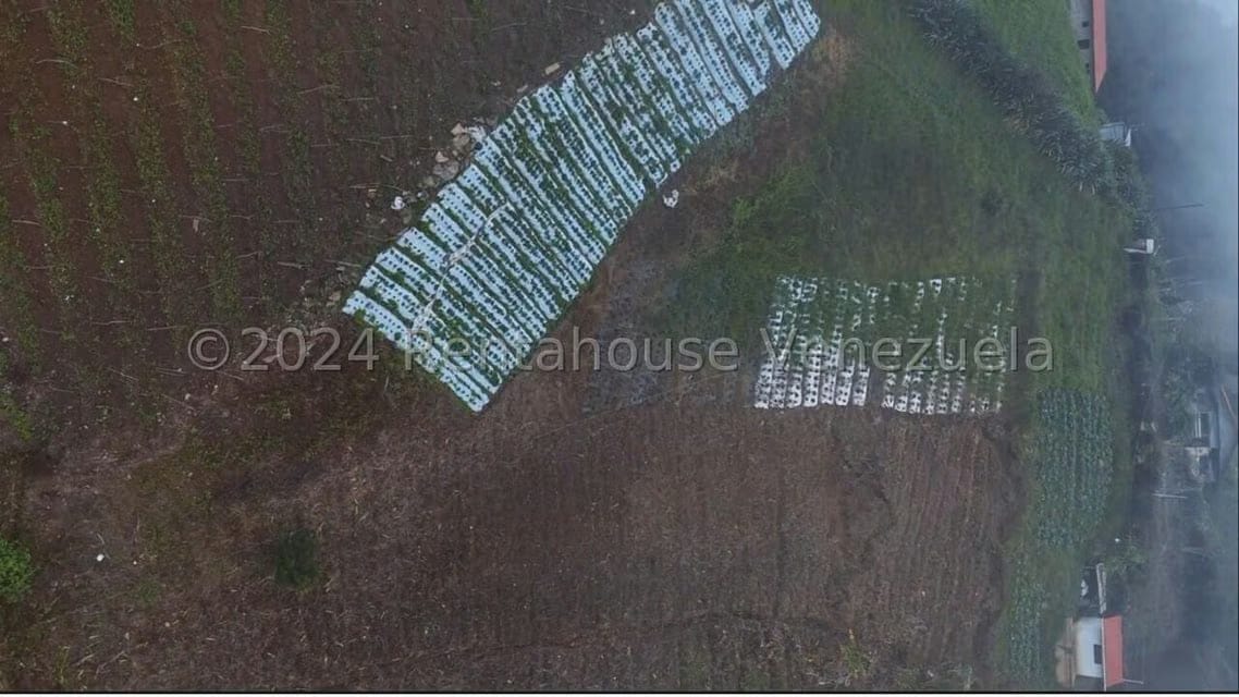 Terreno (Finca) en Venta en La Colonia Tovar, Aragua - 18
