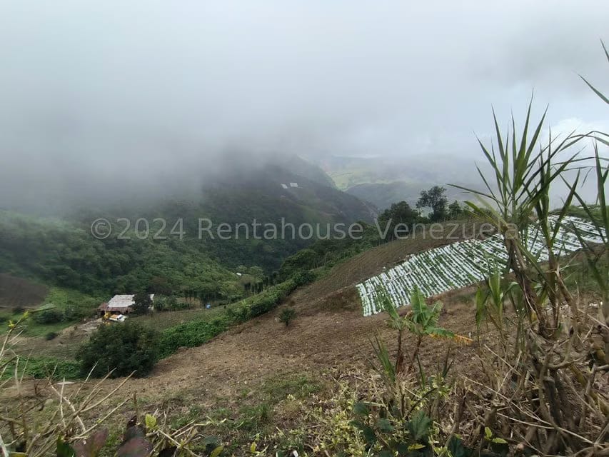 Terreno (Finca) en Venta en La Colonia Tovar, Aragua - 3