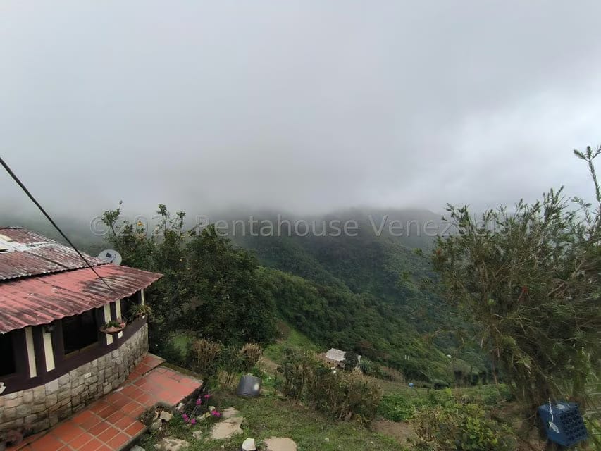 Terreno (Finca) en Venta en La Colonia Tovar, Aragua - 5