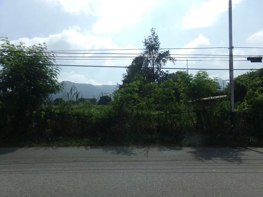 Terreno (Comercial) en Venta en Sabana del Medio, Carabobo