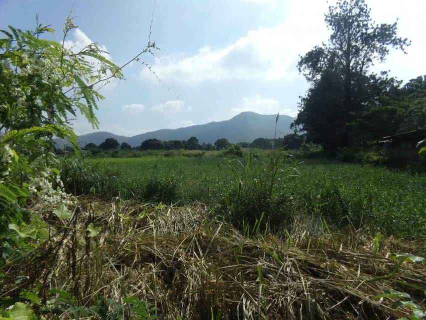 Terreno (Comercial) en Venta en Sabana del Medio, Carabobo - 3
