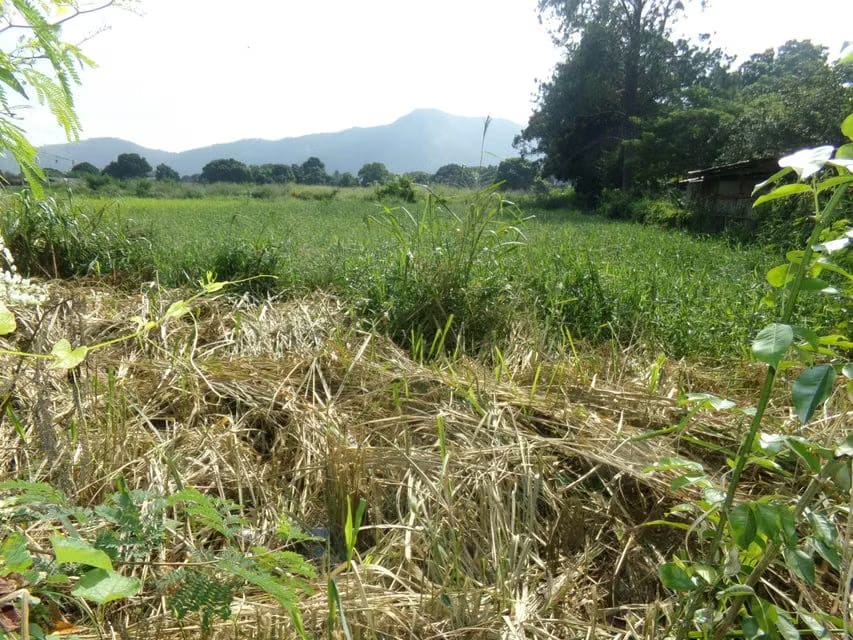 Terreno (Comercial) en Venta en Sabana del Medio, Carabobo - 4