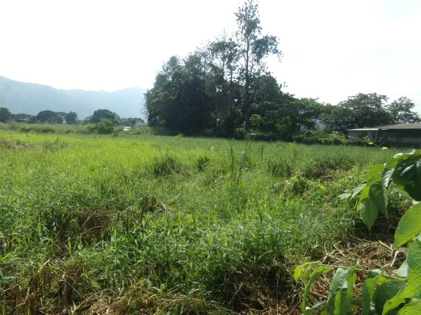 Terreno (Comercial) en Venta en Sabana del Medio, Carabobo - 5