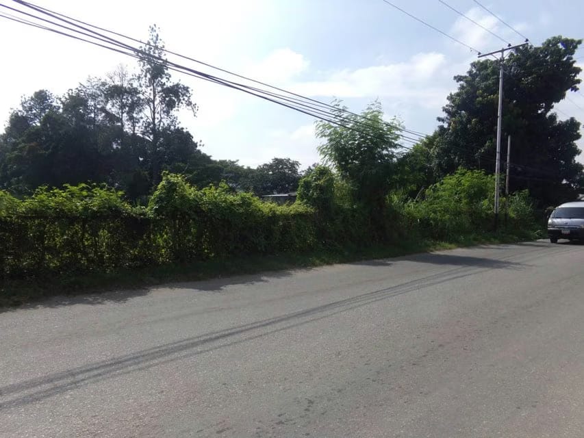 Terreno (Comercial) en Venta en Sabana del Medio, Carabobo - 6