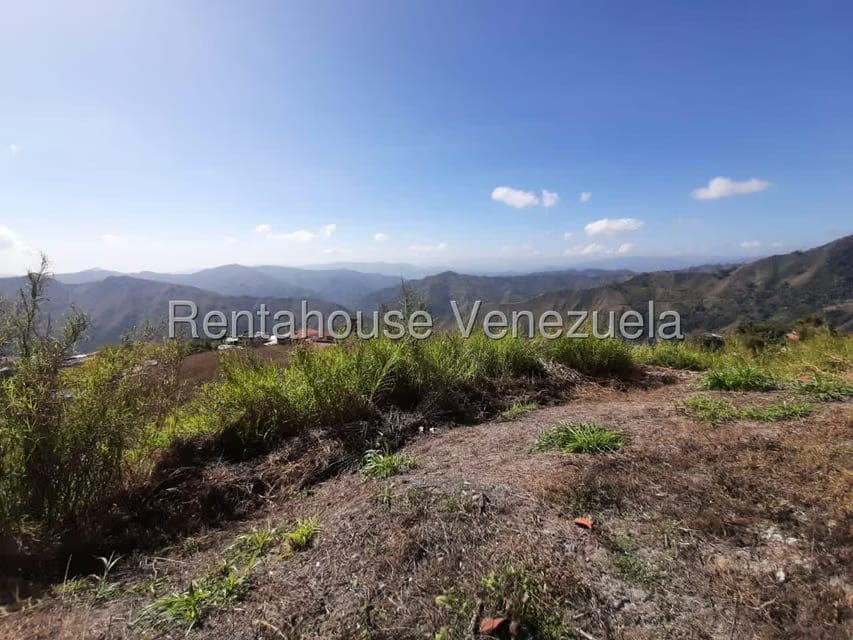 Terreno (Residencial) en Venta en Los Picachos, Miranda - 20