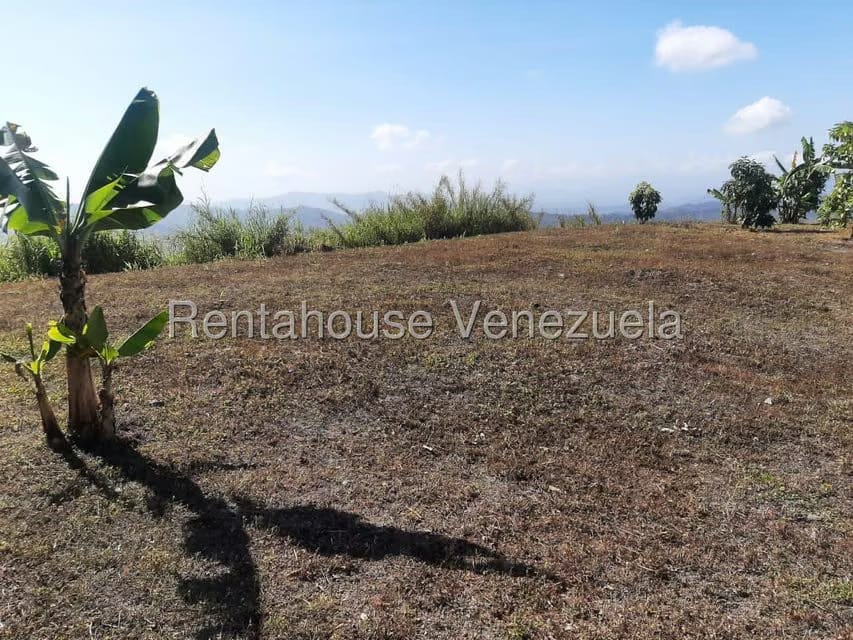 Terreno (Residencial) en Venta en Los Picachos, Miranda - 25