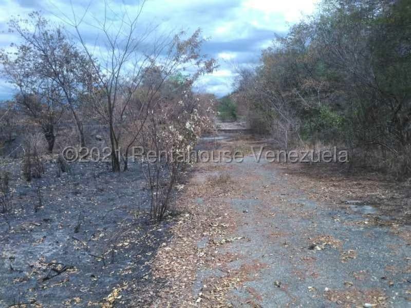 Terreno (Comercial) en Venta en Hacienda Barrancon, Aragua - 10