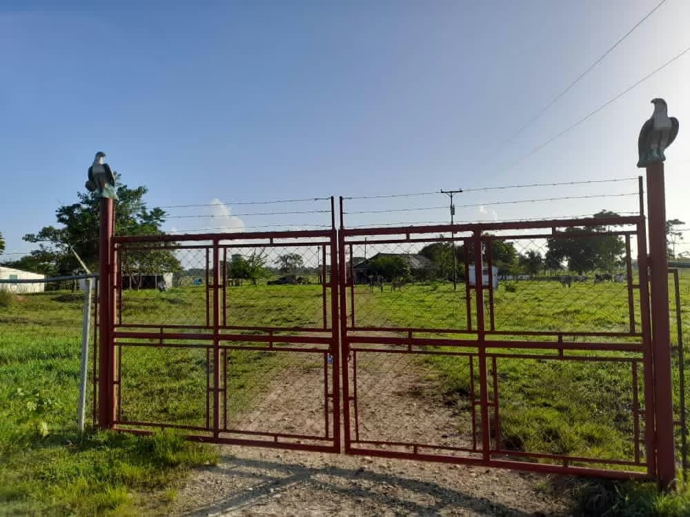 Finca en Venta - Alto Sucre - Maturín - Estado Monagas - 2